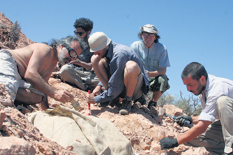 Sebastián Apesteguía con el equipo de investigadores, hurgando huesos en el desierto.