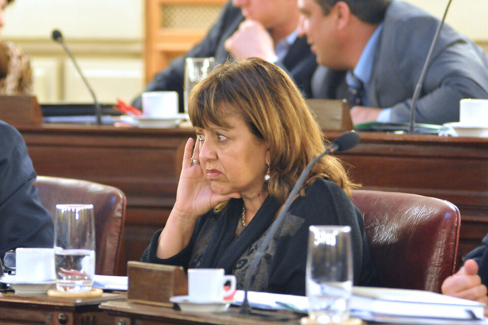 Alicia Gutiérrez presentó un proyecto en la Cámara baja. (Fuente: Eduardo Seval  )