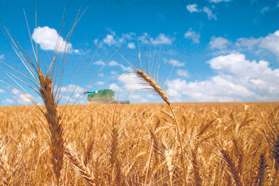 Los productos agropecuarios subieron 31,9 por ciento en doce meses.