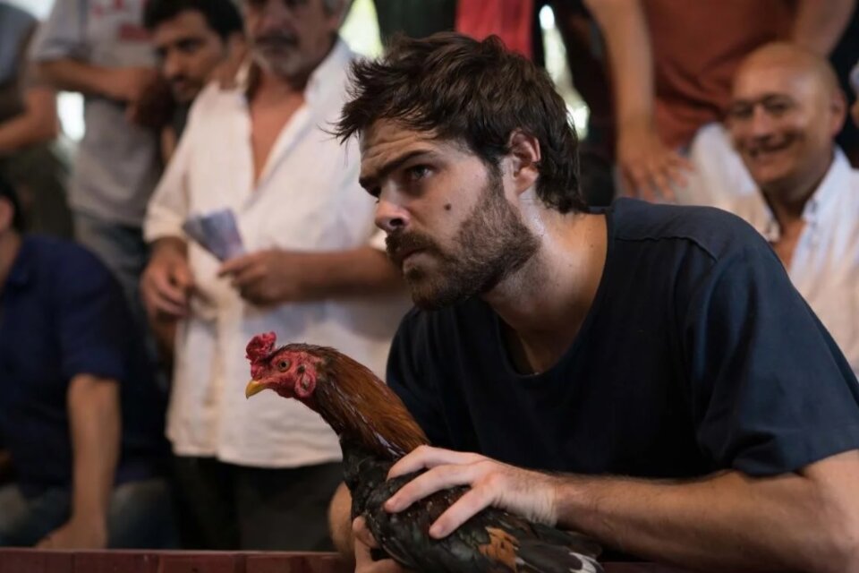 ¿Andás con insomnio? Mañana a las 0.30, TNT Series dará revancha con Un gallo para Esculapio, con Peter Lanzani.