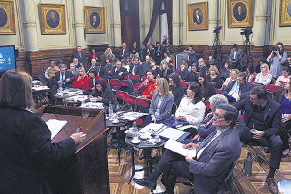 La audiencia de ayer cerró la segunda semana de debate por el aborto en el Senado. (Fuente: Juan Carlos Cárdenas)