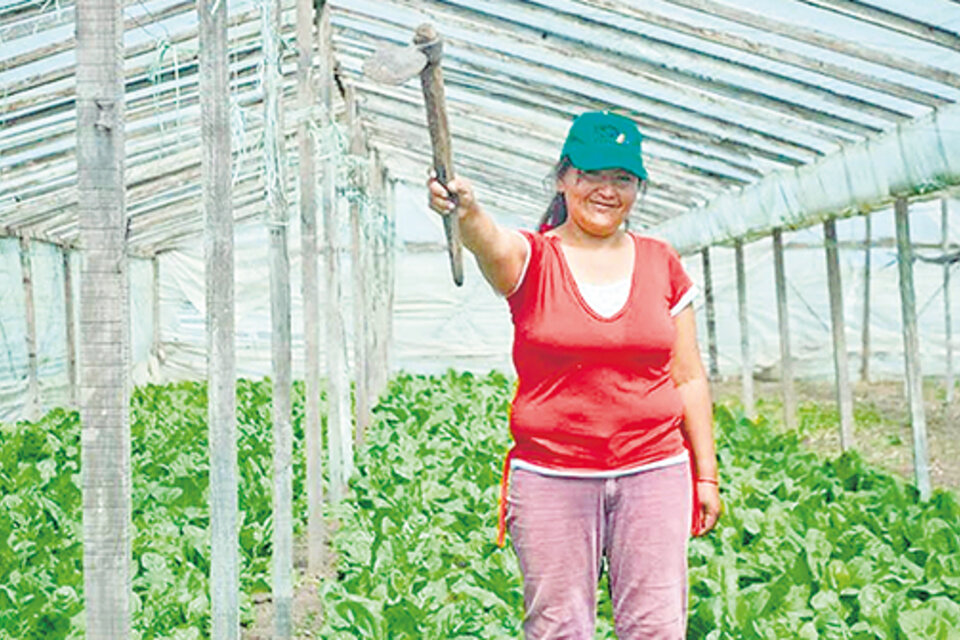 Más Cerca Es más Justo conecta productores con compradores a través de una comercialización justa para todos.