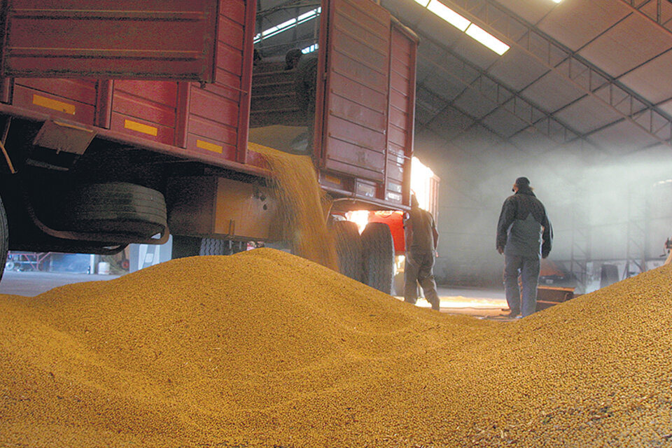 Las retenciones a la exportación de porotos de soja seguirá según lo establecido, para aceites y harina, no. (Fuente: Pablo Aneli)