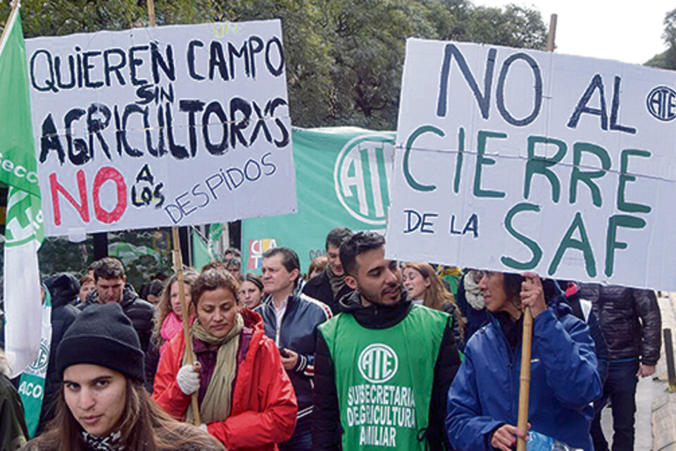 Trabajadores de Agricultura Familiar y organizaciones campesinas se movilizaron en todo el país.