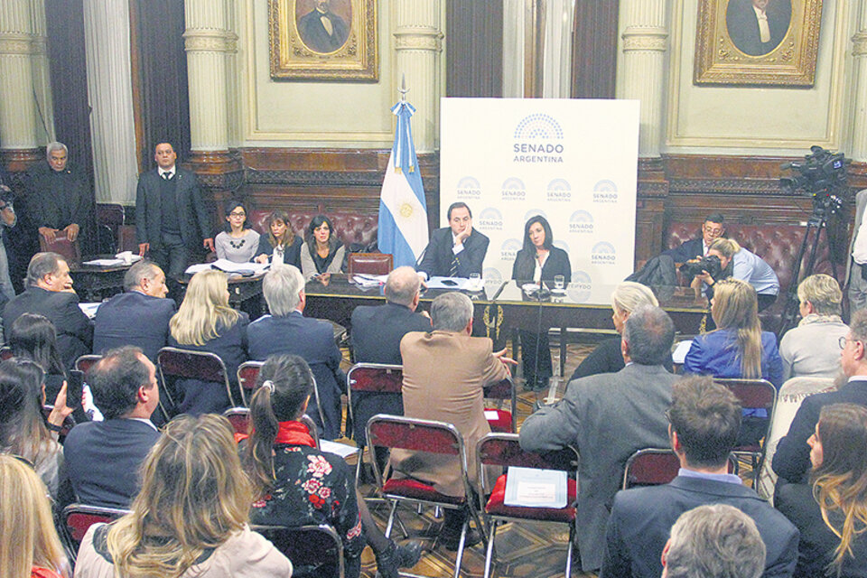 La semana pasada la Comisión de Asuntos Constitucionales firmó dictamen a favor de los allanamientos a CFK. (Fuente: Leandro Teysseire)