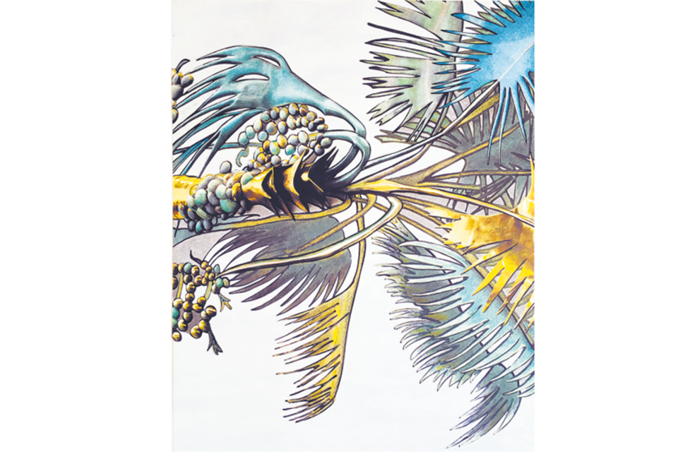 Zinny - Maidagan. Mauritia, 2018. Técnica mixta sobre papel. 108,5 cm x 84 cm