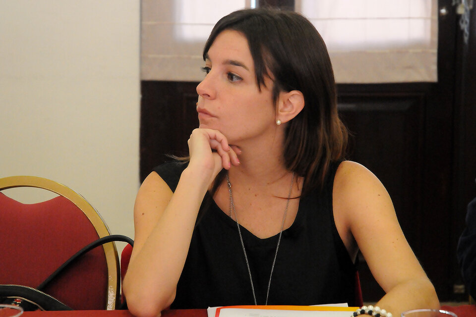 La diputada nacional Lucila De Ponti es una de las responsables del estudio.