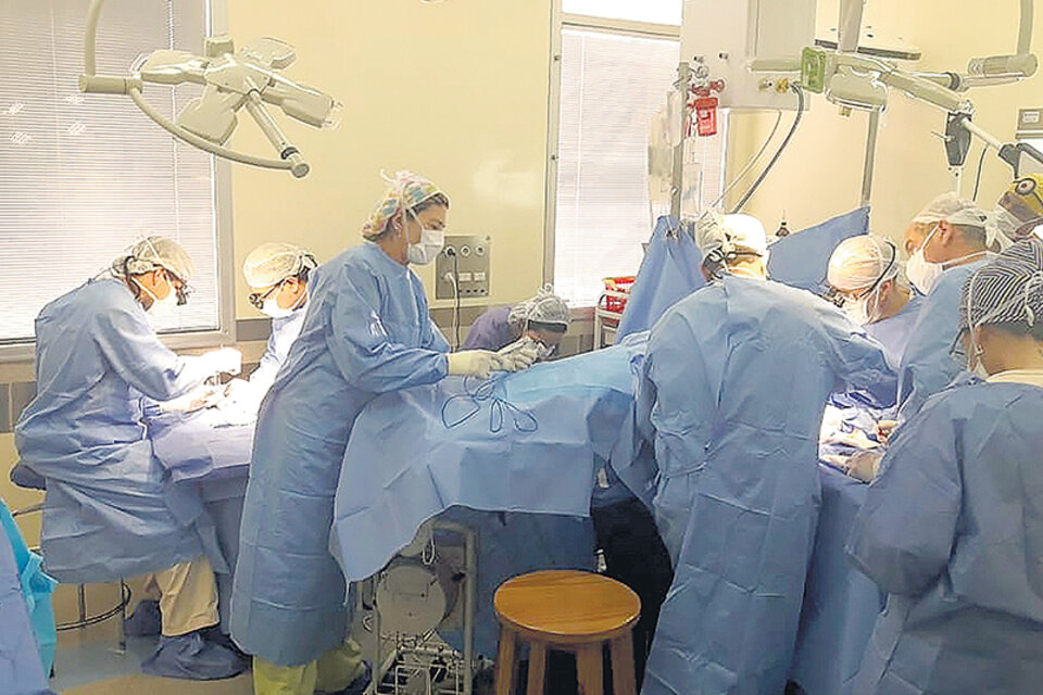 De la cirugía participaron médicos de franco y algunos que no son del Gutiérrez.