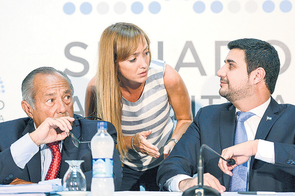 El diputado Marcos Cleri junto a Rodríguez Saá y Fernández Sagasti, integrantes de la comisión bicameral. (Fuente: NA)