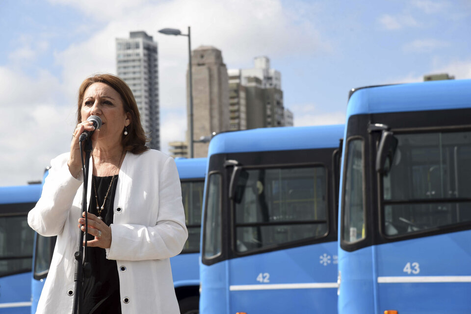 Fein subrayó que se renovó la totalidad de la planta de colectivos de la ciudad.