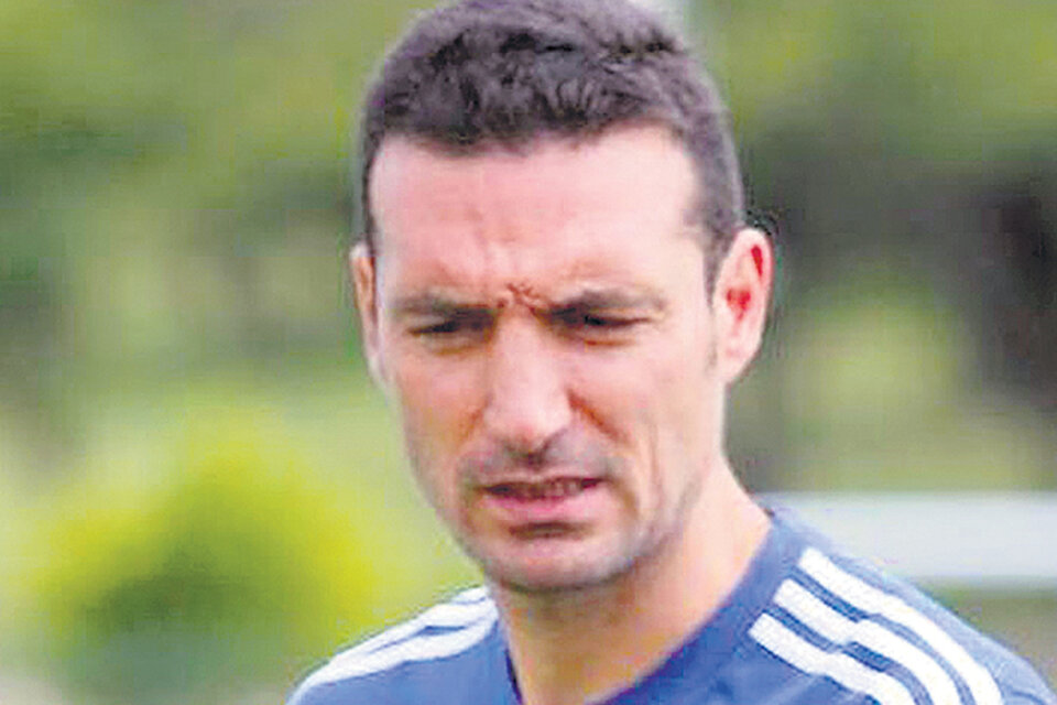 Lionel Scaloni, DT de la Selección mayor. (Fuente: Prensa AFA)