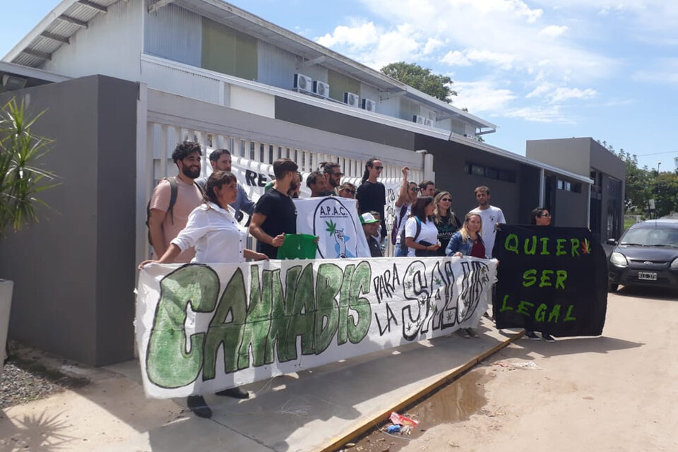  (Fuente: El Ministerio de Salud provincial no logró aún el permiso para que el LIF importe flores de cannabis.)