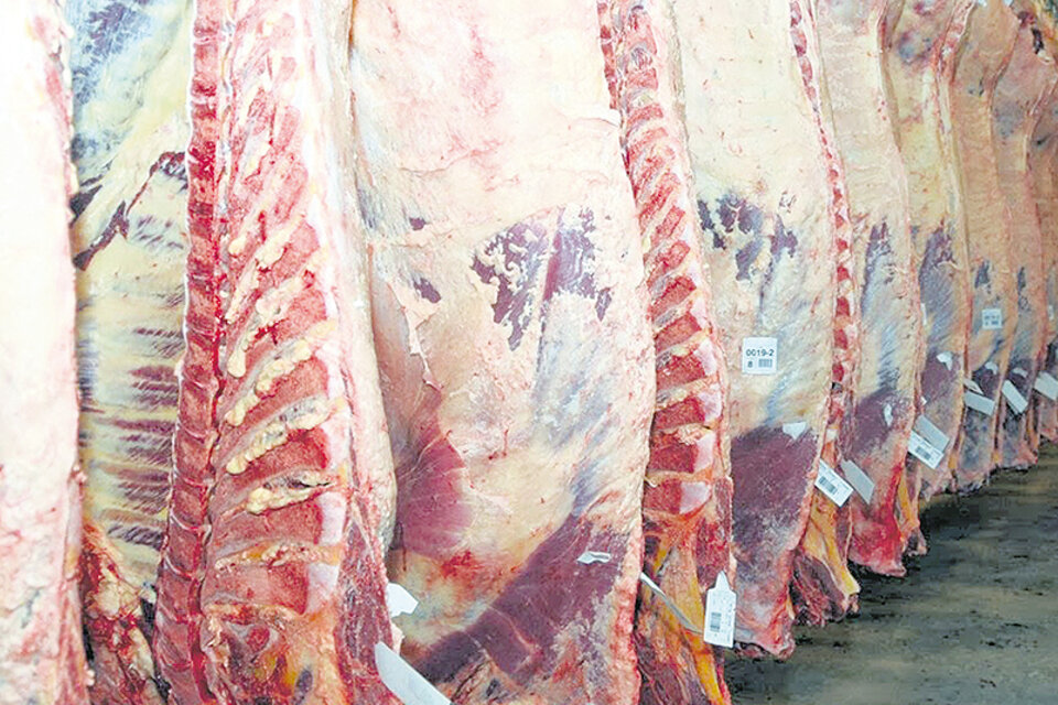 El rubro carnes fue el que más aumentó a nivel mayorista en febrero, según el Indec.