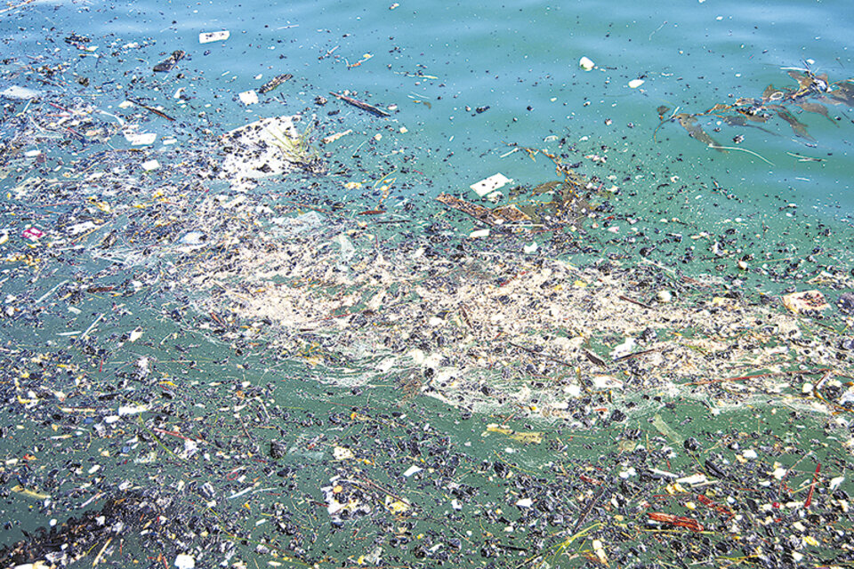 Más del 80 por ciento de la basura marina europea es plástica.
