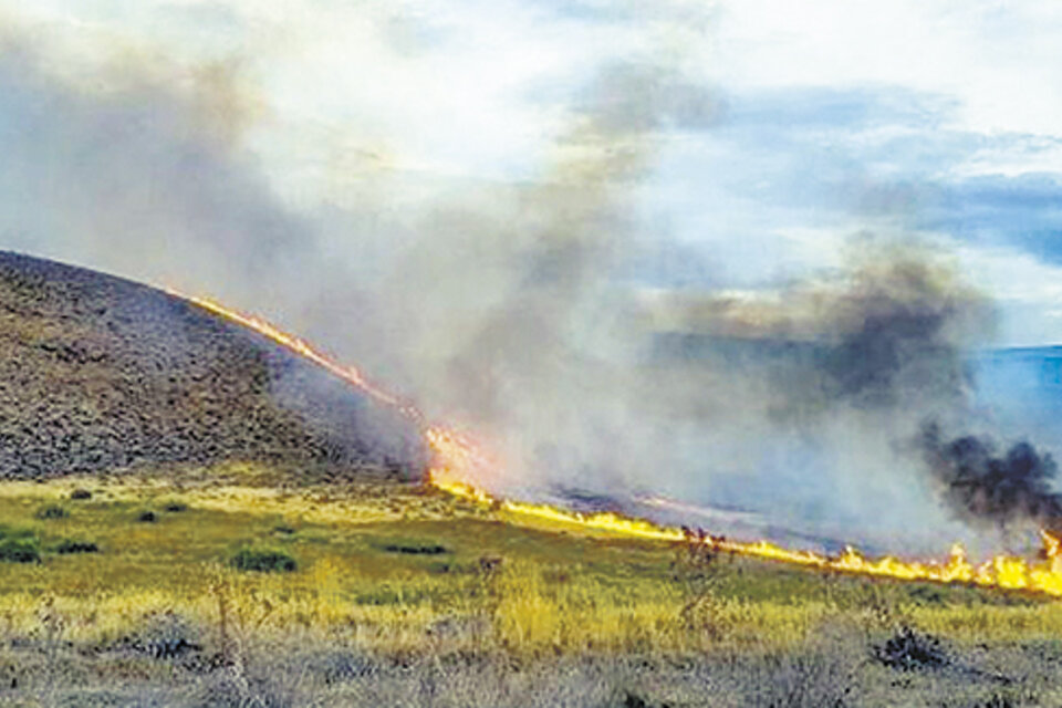 El fuego se originó a un costado de la ruta 237, al este de Neuquén.