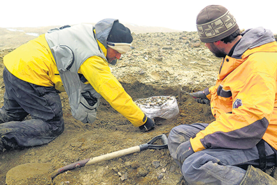 Los primeros restos se encontraron en 1989 y se terminó de rescatar en 2017.