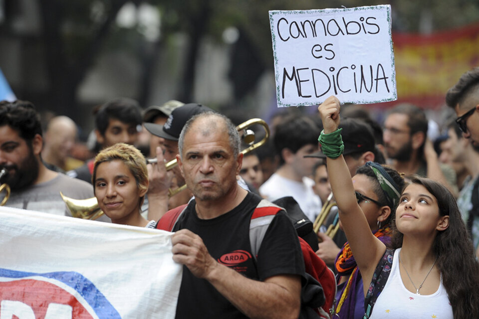 El activismo da a conocer los beneficios del cannabis medicinal. (Fuente: Andres Macera)