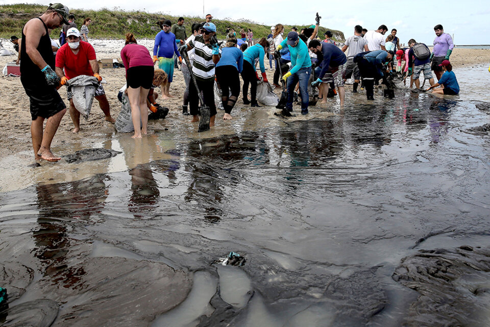 En la playa de Suape, de la ciudad de San Agostinho, Pernambuco, voluntarios participan en la recolección del petróleo. (Fuente: EFE)