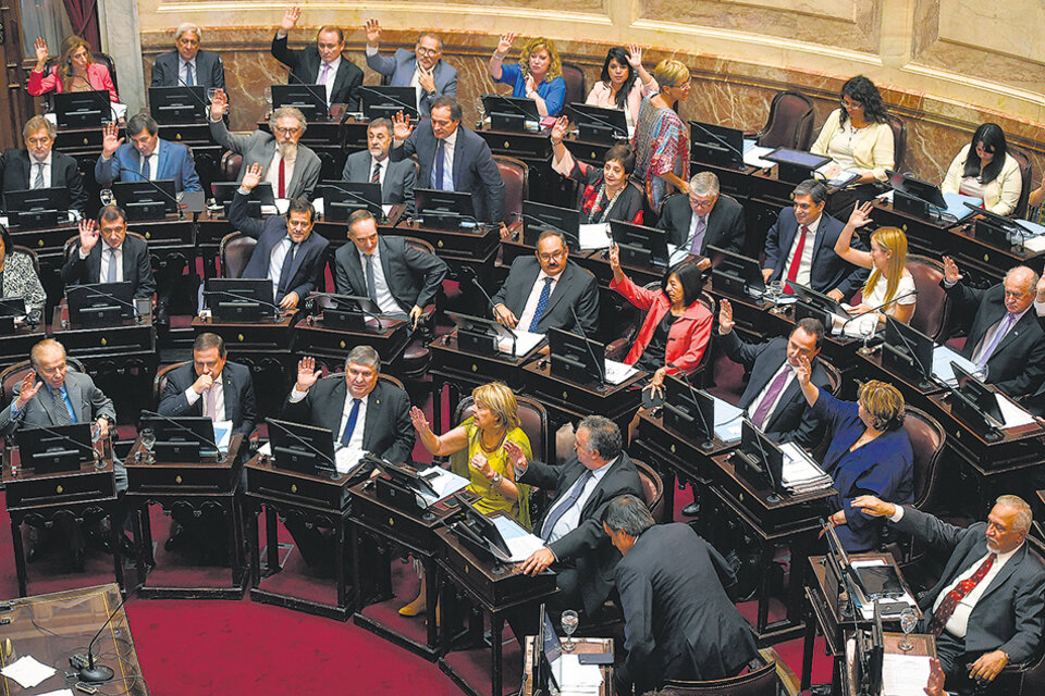 El oficialismo sancionó la ley de Solidaridad Social por 41 votos a 23. (Fuente: Télam)