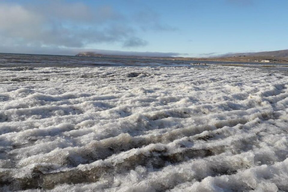 Las increíbles imágenes del lago Argentino congelado