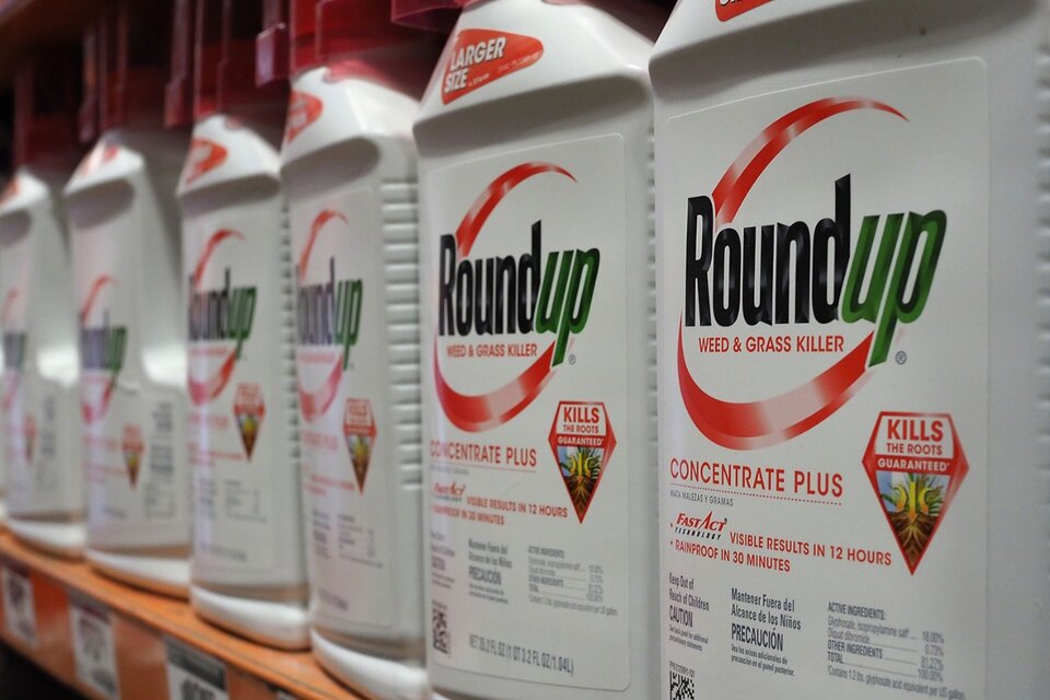 Roundup es la marca comercial del glifosato. (Fuente: AFP)
