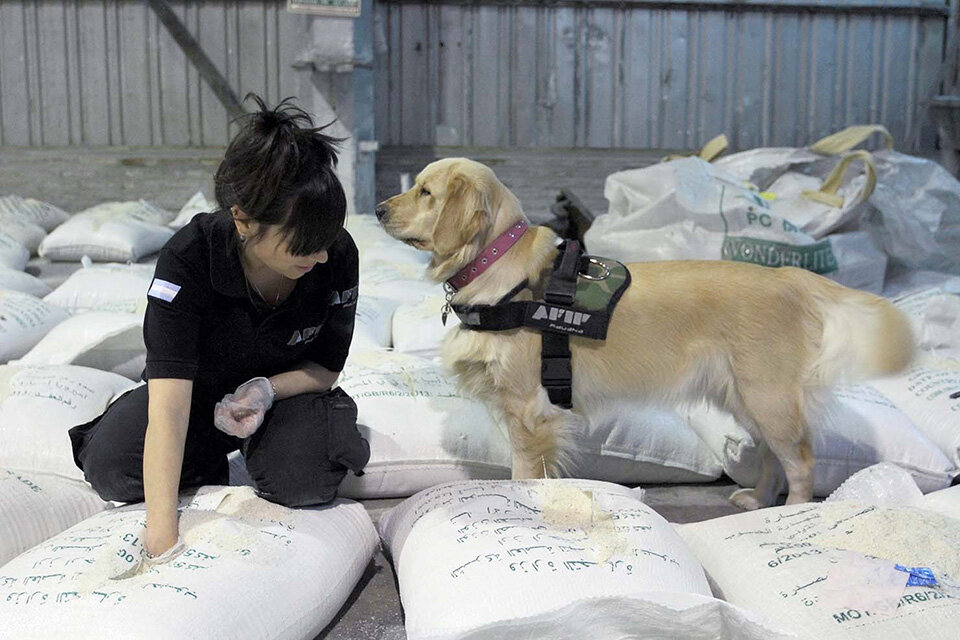 El cargamento de arroz con la cocaína fue interceptado en el puerto de Rosario. (Fuente: Télam)