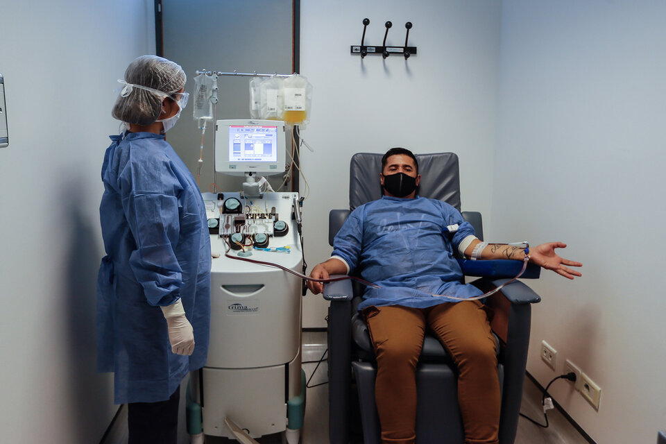 En la donación de plasma, las células sanguíneas se reintegran al donante.