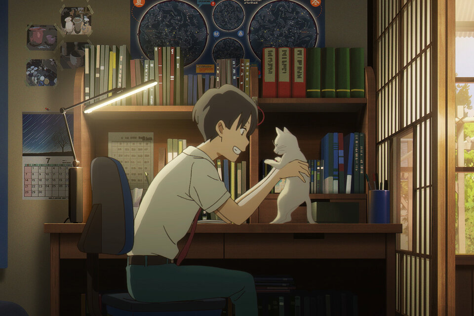 "Amor de gata": bajo la sombra de Miyazaki