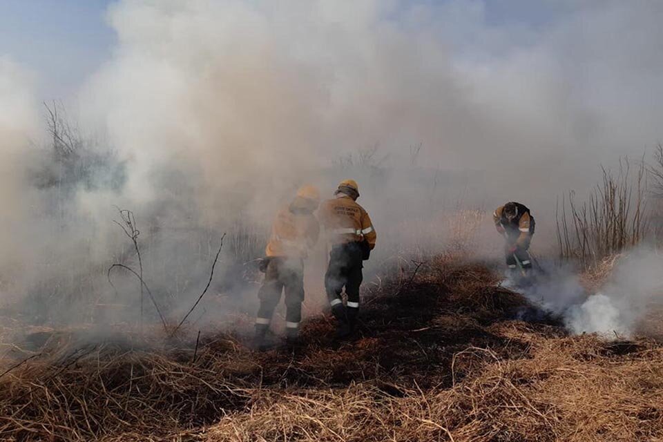 Los incendios produjeron grandes columnas de humo y perjuicios a la atmósfera, la fauna ictícola y habitantes de Rosario.