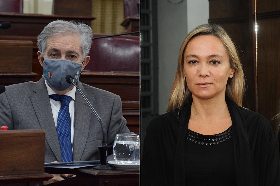 El senador Joaquín Gramajo (PJ) y la auditora general del MPA María Cecilia Vranicich. (Fuente: Prensa Senado/Archivo Rosario/12)