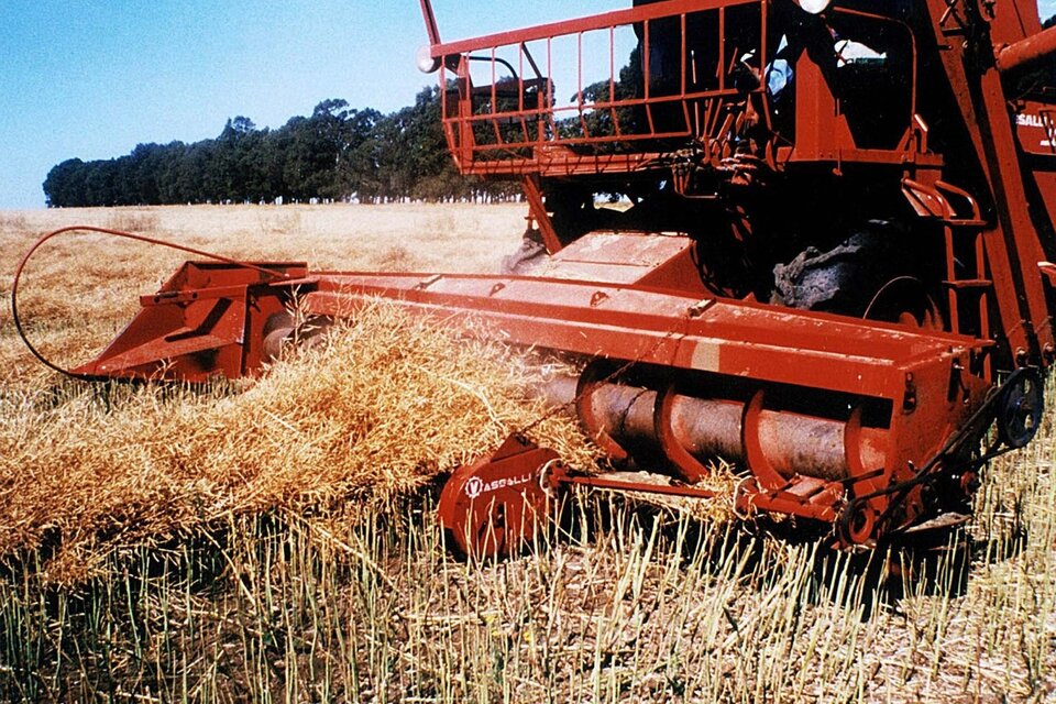 La agroindustria negocia una ley con el el Gobierno (Fuente: Télam)