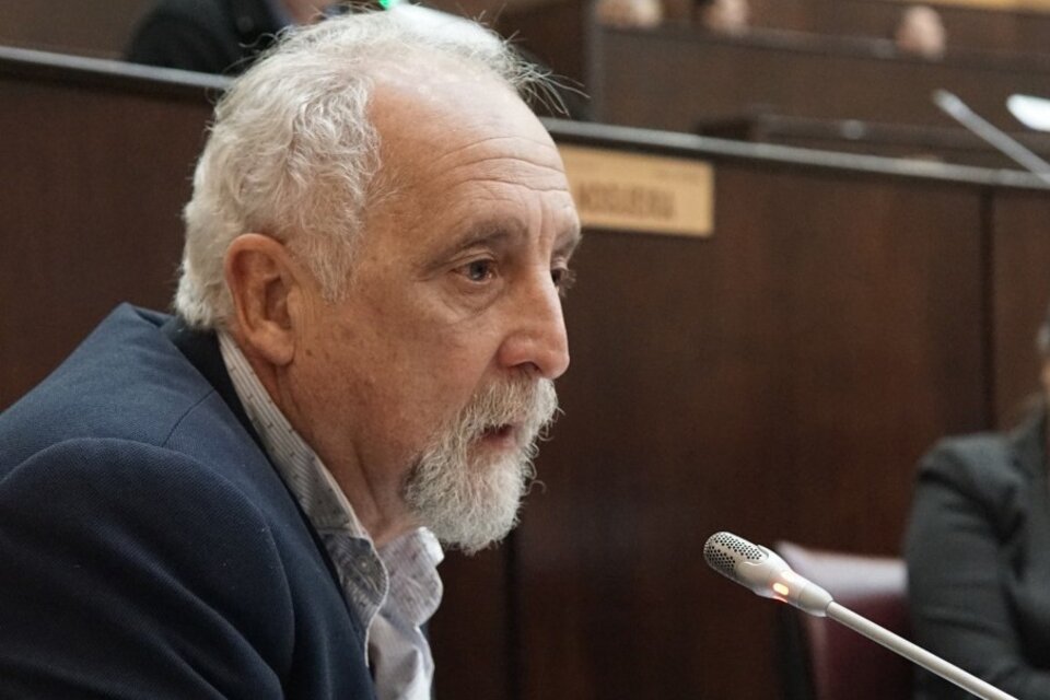 Diputados: Guillermo Carnaghi asumió en reemplazo de Darío Martínez
