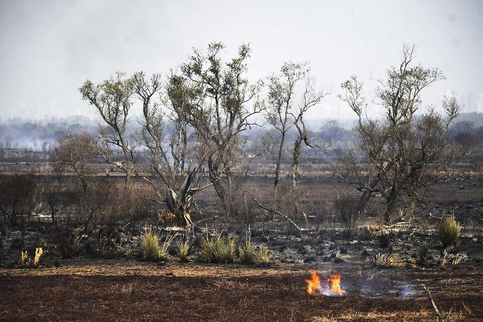 Las islas después del fuego.