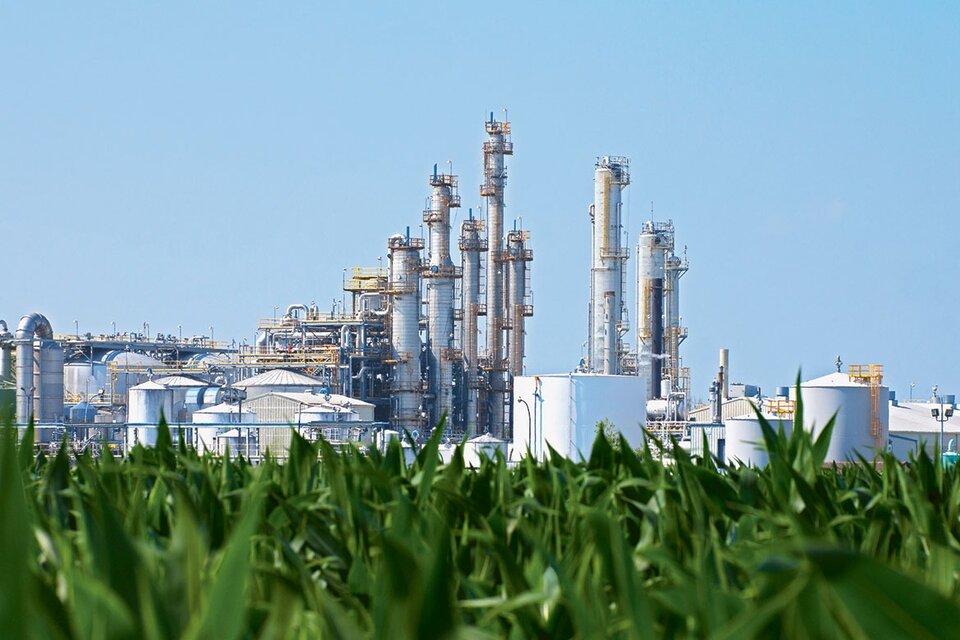 El sector de biocombustibles da empleo a unas diez mil personas. (Fuente: AFP)