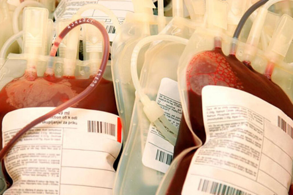 La investigación permitió que el contagio de Hepatitis C por transfusión sanguínea sea cero.