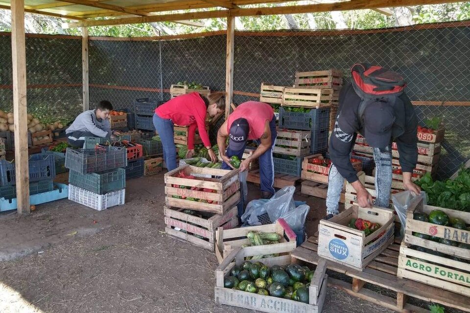 Desde agosto hasta hoy ya fueron armadas 123 propuestas. 30 ya están casi terminadas.