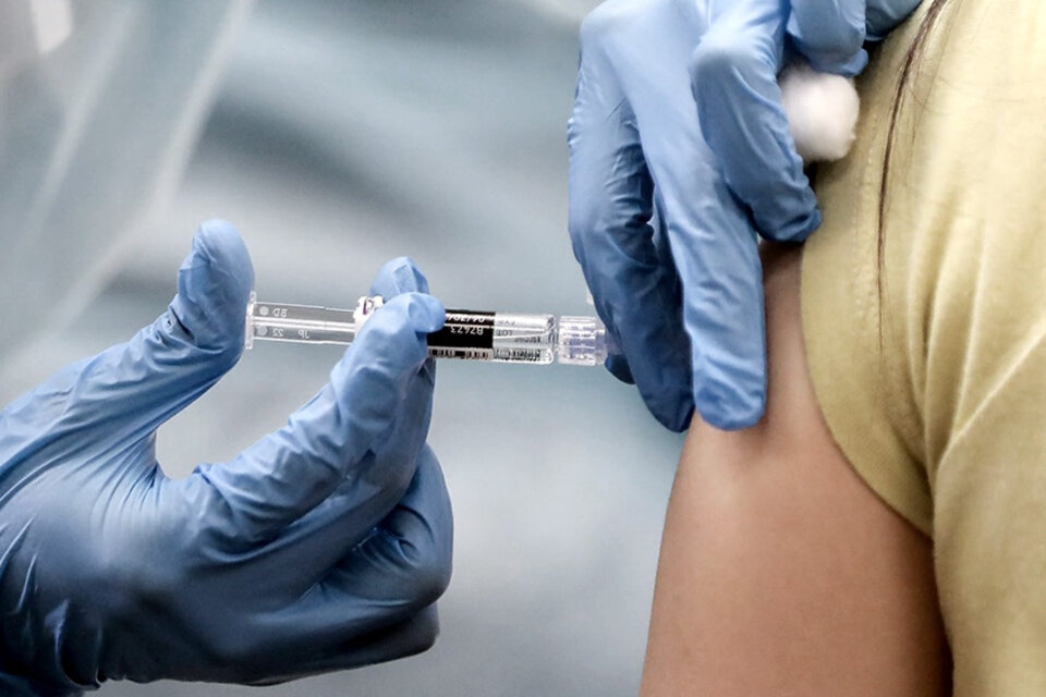 Instan a completar la vacunación por temor a enfermedades reemergentes (Fuente: Télam)