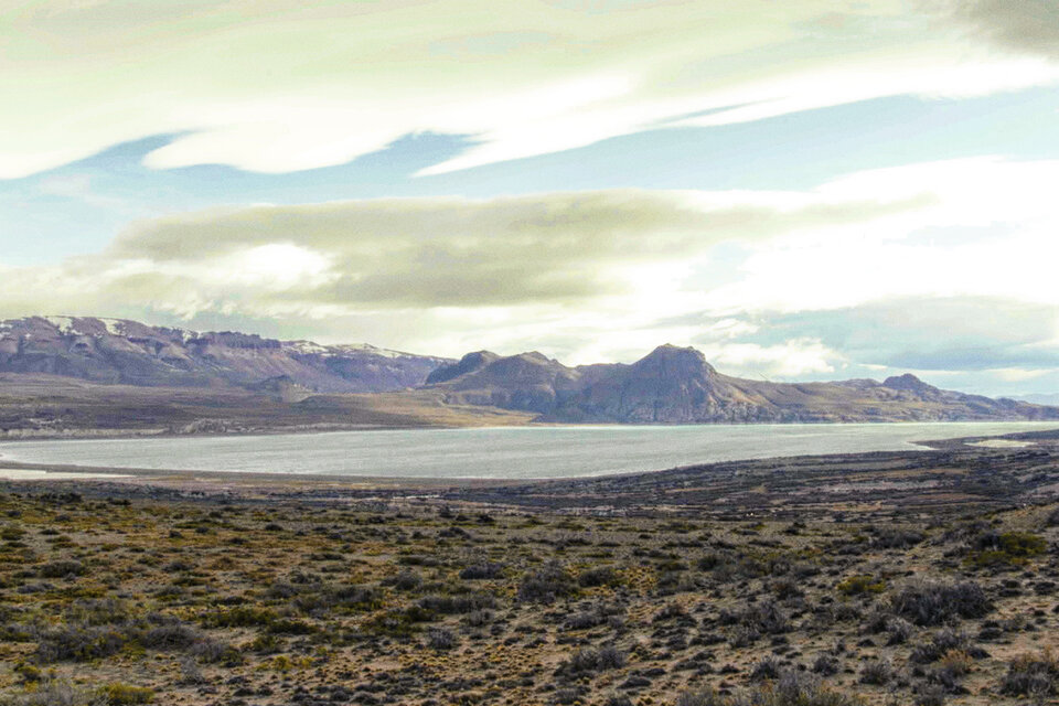 "Proyecto Parque Patagonia": ¿ecología o negocio?
