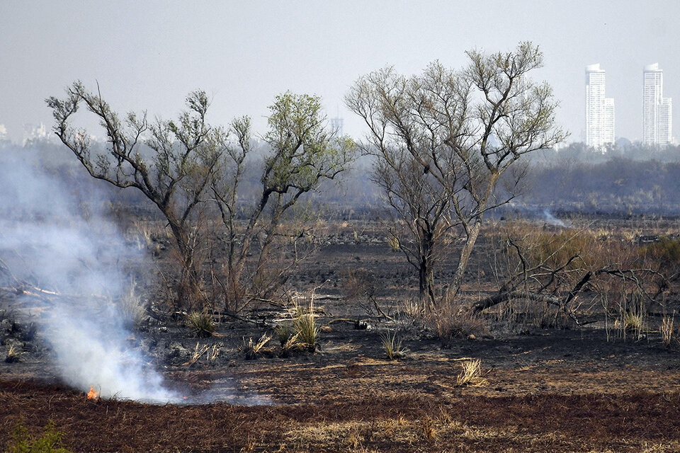 Las quemas son en lugares que están en pleno rebrote de pasturas (Fuente: Sebastián Granata)