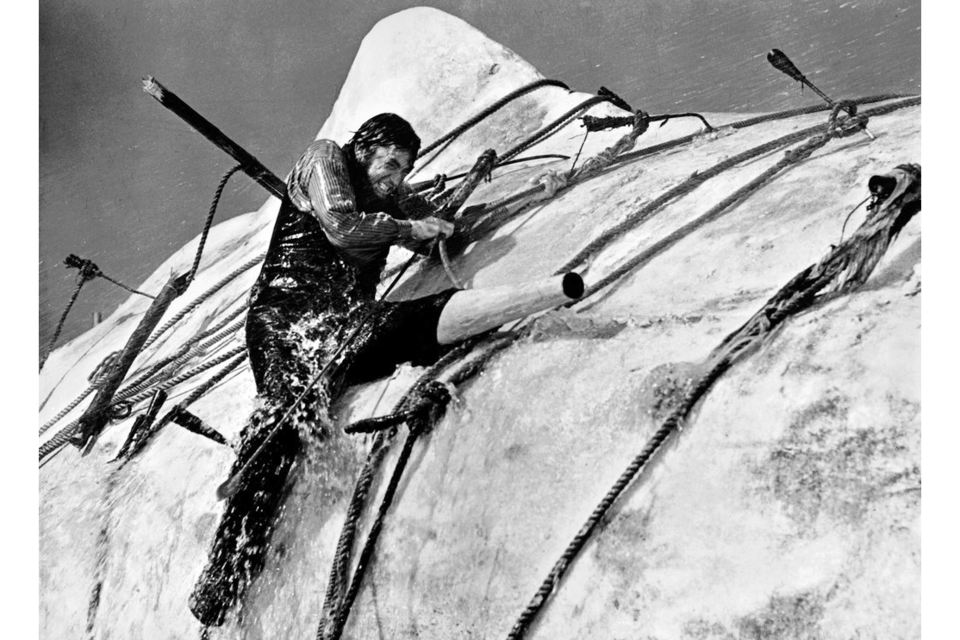 "Moby Dick" de John Huston