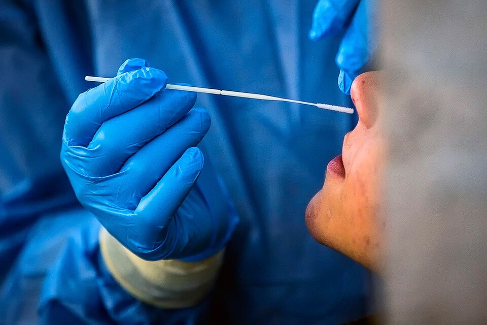 Coronavirus: investigan si podría ingresar al cerebro a través de la nariz   (Fuente: EFE)