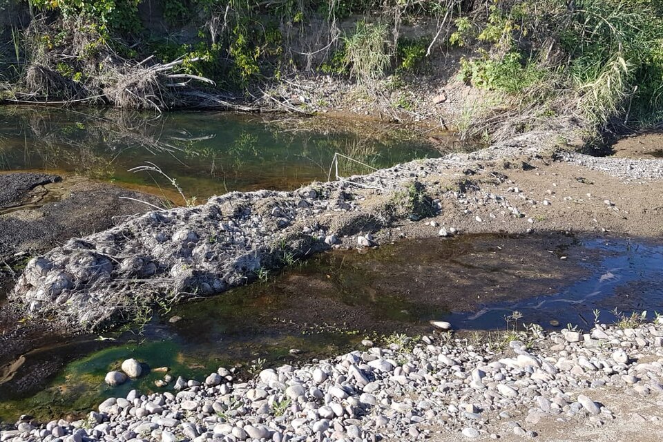 Comunidad advierte sobre los desmontes en la ribera del río Blanco 