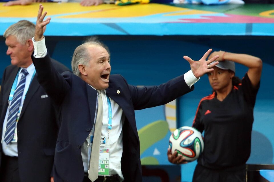 El DT festeja durante el mundial de Brasil 2014, en el que se alcanzó la final.  (Fuente: Télam)