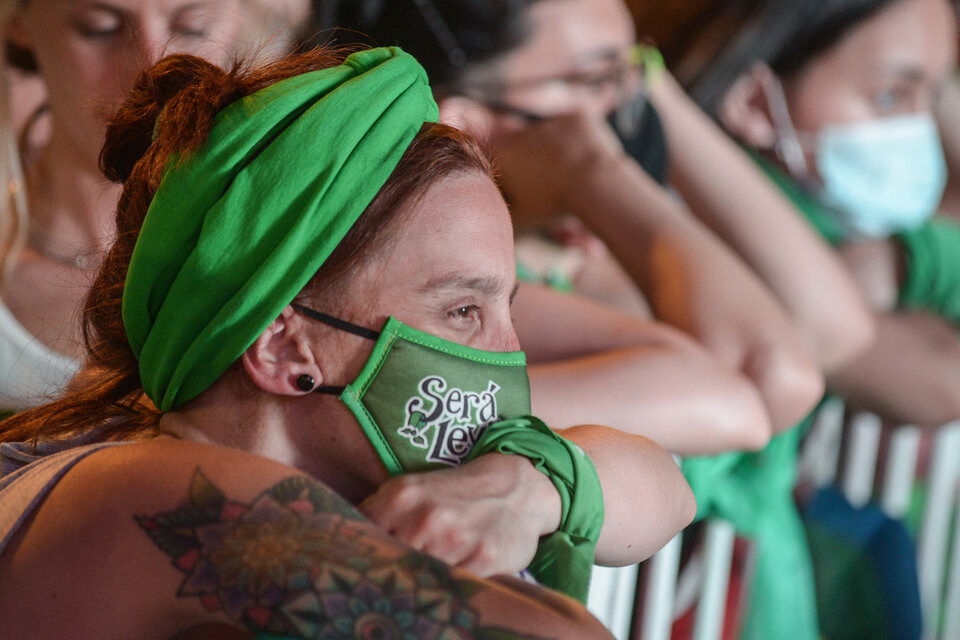Los verdes son optimistas de cara a la definción en el Senado.