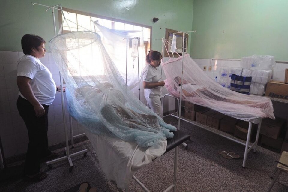 En Paraguay hubo un fuerte aumento de casos de dengue y emitieron un alerta epidemiológica. (Fuente: AFP)