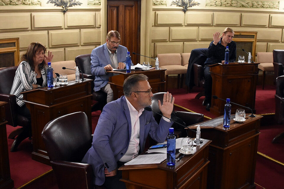 “A nadie le agrada esta situación”, dijo el senador Lewandowski (Fuente: Prensa Senado)