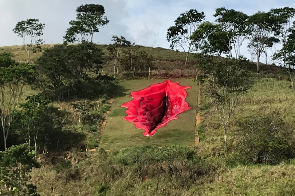 La obra fue presentada por la artista Juliana Notari en un parque de arte rural de Pernambuco.