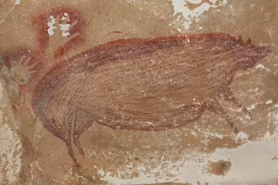 La pintura rupestre de un cerdo verrugoso es la más antigua del mundo y fue hallada en Indonesia. (Fuente: EFE)