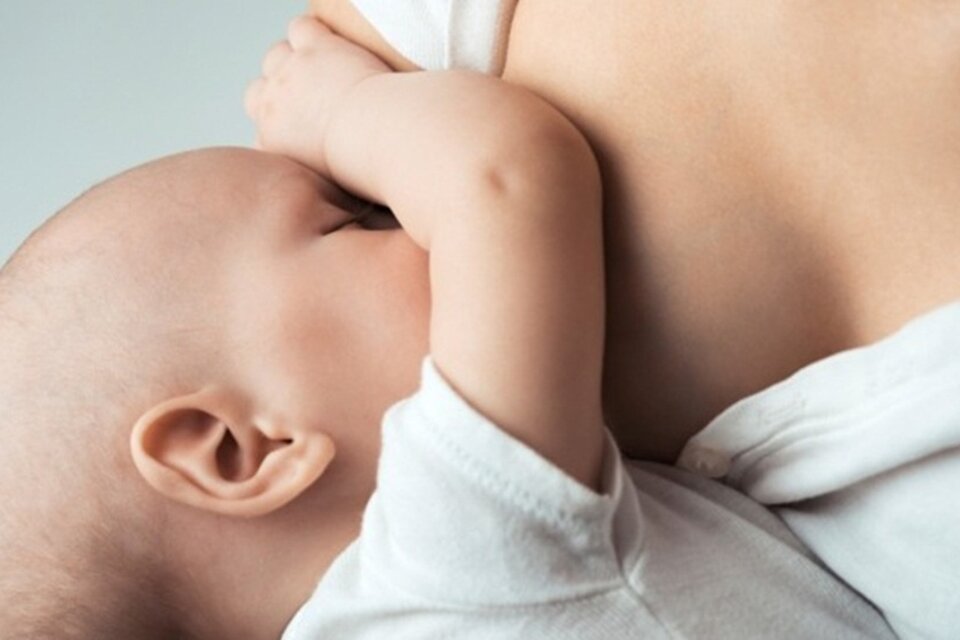 No obstante, aún se desconoce la eficacia protectora en los recién nacidos y el momento ideal de la vacunación materna.  (Fuente: Télam)