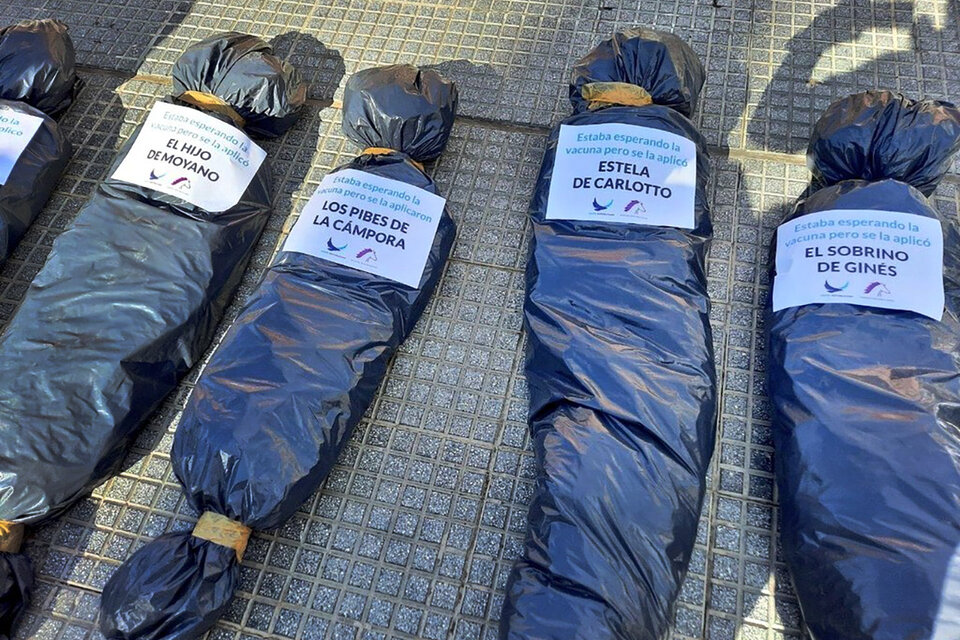 Bolsas mortuarias en Plaza de Mayo: el debate desatado en las redes sociales (Fuente: NA)